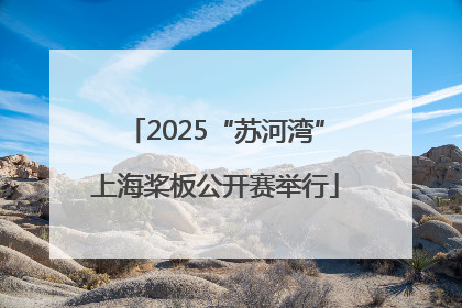 2025“苏河湾”上海桨板公开赛举行